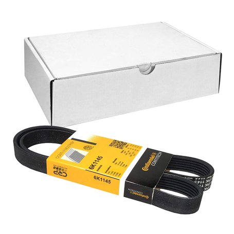 Continental Contitech 6PK1145 Courroie trapézoïdale à nervures