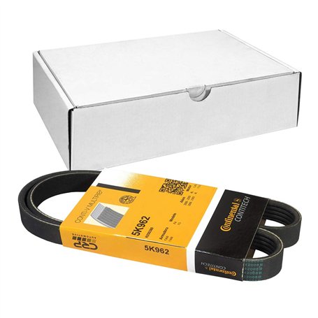 Continental Contitech 5PK962 Courroie trapézoïdale à nervures