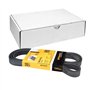 Continental Contitech 6PK1675 Courroie trapézoïdale à nervures