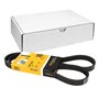 Continental Contitech 5PK1240 Courroie trapézoïdale à nervures