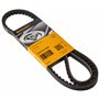Continental Contitech AVX13X1050 Courroie trapézoïdale
