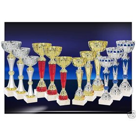 Lot de 12 Coupes trophées recompenses Entre 22 et 27 cm