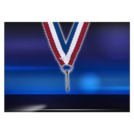 lot 10 Tour du Cou Porte médaille Recompense Ruban 10mm