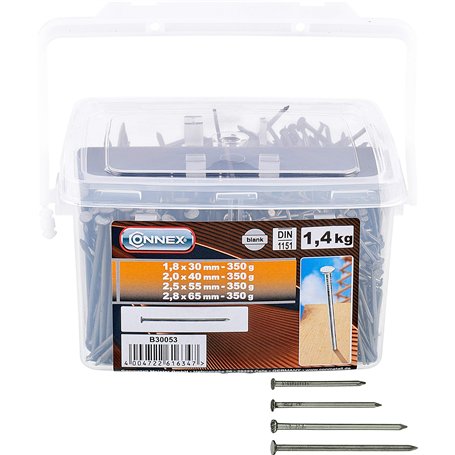 Connex B30053 Jeu de Clous/Pointes 4 sortes galvanisés 1