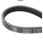 SKF VKMV 4PK1538 Courroie Poly-V Courroie d'accessoire Courroie trapézoïdale à nervures