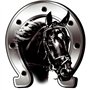 AUTOSTYLE Autocollant Horse + Horseshoe - 6x7cm