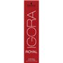 Igora Royal 3-68 Châtain Foncé Marron Rouge 60 ML