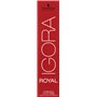 Igora Royal 3-65 Châtain Foncé Marron Doré 60 ML
