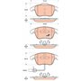 TRW GDB1814 Kit De Plaquettes De Frein Frein à Disque COTEC pour Audi A4 B8 Avant (8K5) 2007-2015 Essieu Avant et autres véhicul