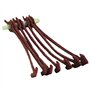 RAGOT Attache-Ligne X 10