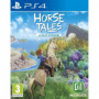 HORSE TALES - La Vallée d'Emeraude Limited Edition PS4 38,99 €