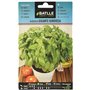 Graines aromatiques de Batlle - Basilic géant génois (4g)