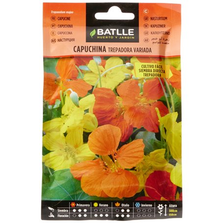 Batlle Capucine GRIMPANTE