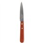 PRADEL COUTEAU OFFICE LAME 9CM MANCHE BOIS A RIVET