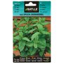 Graines aromatiques de Batlle - Menthe verte/Mentha spicata (0