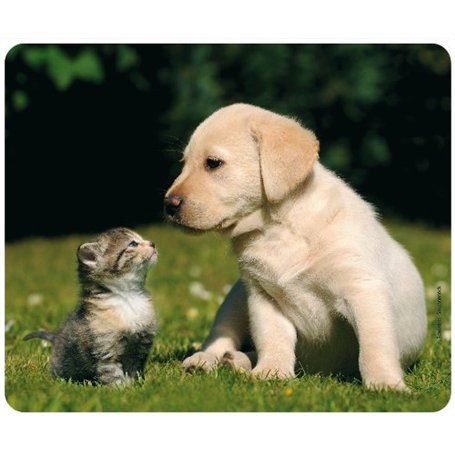 CHAT ET CHIEN Tapis de souris (24 x 19 cm) en caoutchouc spécial extrêmement résistant à la déchirure avec une face inférieure f