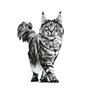 Royal Canin Veterinary Urinary S/O | 400 g | Nourriture sèche pour Chats | pour l'entretien des Voies urinaires | pour Les Crist