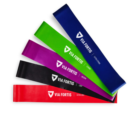 VIA FORTIS Bande Élastique Musculation [avec Instructions d'exercices et Sac de Transport] Resistance Band