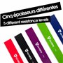 Bandes Élastiques po