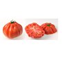 Lot de 50 Graines Potageres - Tomate Coeur de Boeuf rouge fruit legume potager