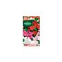Vilmorin - Sachet graines Impatiens Hybride varié