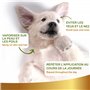 Moustiques - à l'huile de Neem pour Chiens et Chats - Protection Contre Ácaros