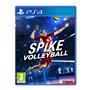Spike Volleyball