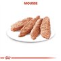 Royal Canin - Alimentation Humide pour Les Chiens Adultes Royal Canin Poids léger Poids 12 x 85 g