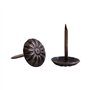 Décoratif Clou， Rembourrage élégant Vintage Clous En Métal Tags Meuble Canapé Chaussure Porte Décoratif Clou(Daisy Nail 11 * 16m
