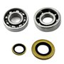 Hippotech Pack joint d'huile de roulement à billes de vilebrequin pour tronçonneuse Stihl 066 MS660 065 MS650 064 MS640