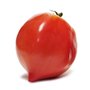 Tomate Cœur de bœuf "Cuor di bue", Graines certifiées biologiques prêt à Pousser Minigarden, 100% Naturelles sans Propagateurs C