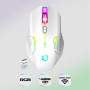 Empire Gaming Armor RF800 Pack Clavier Souris Gaming Rechargeable sans Fil AZERTY (Français-Layout) RGB avec Tapis de Souris -Cl