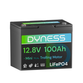 Dyness Batterie Lithium 12V 100Ah Mini LiFePO4 pour Camping Car avec BMS 100A, Protection Basse Température, Etanche Batterie po