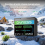 Dyness Batterie Lithium 12V 100Ah Mini LiFePO4 pour Camping Car avec BMS 100A, Protection Basse Température, Etanche Batterie po