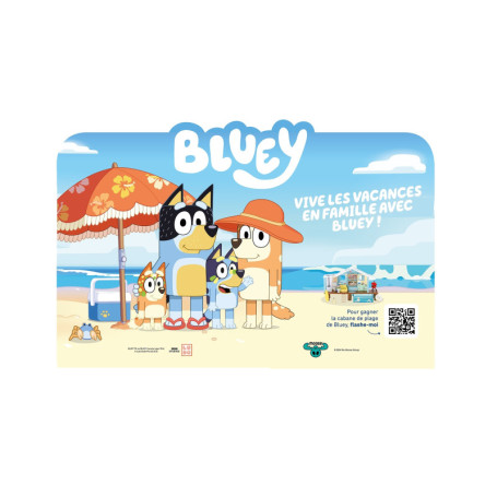 COLIS 36 EX + PANNEAU BLUEY MAI 2025