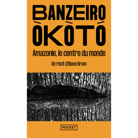 Banzeiro Òkòtó - Amazonie, le centre du monde