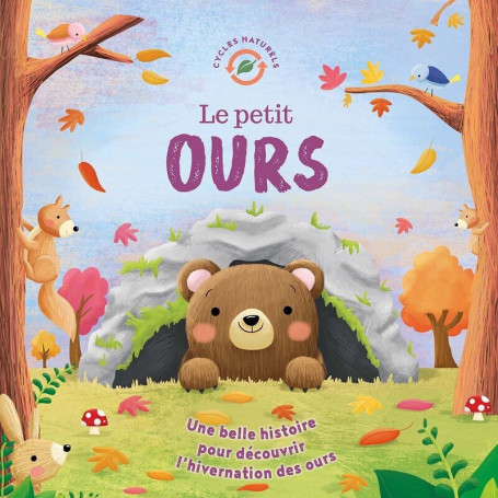 Petit ours - NE