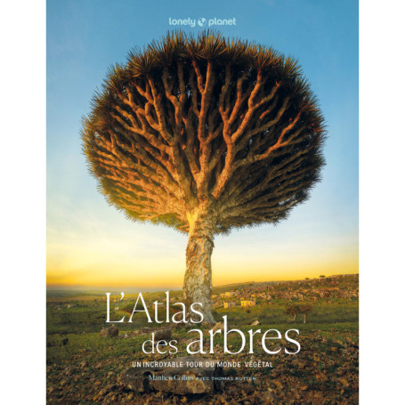 L'Atlas des arbres - Un incroyable tour du monde végétal