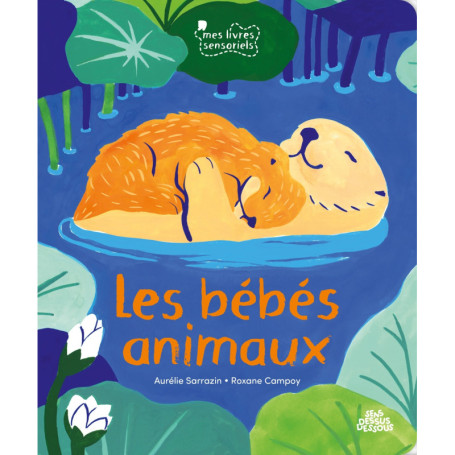 Bébés animaux