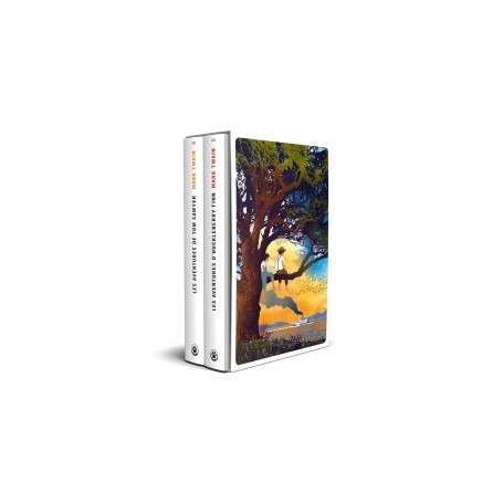 Tom Sawyer & Huckleberry Finn - Coffret Totem