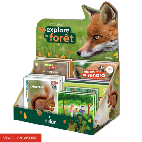 Comptoir Automne 15 ex 2025