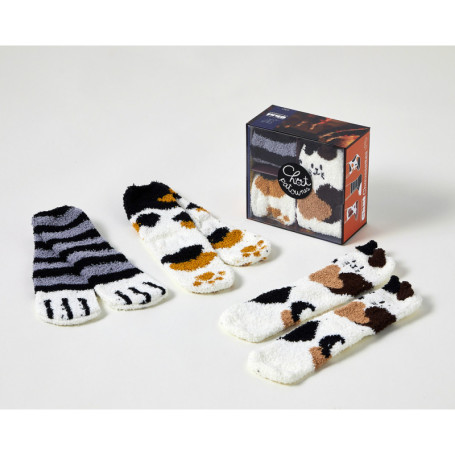Coffret Les goûters de la famille Chat chaussettes, 3e éd.