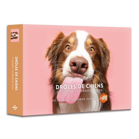 Agenda - Calendrier Drôles de chiens 2026