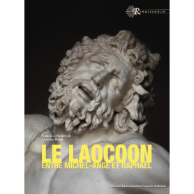 Le Laocoon entre Michel-Ange et Raphaël