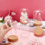 PH PandaHall Lot de 4 dômes en verre transparent avec base en liège - Bocaux décoratifs pour objets de collection, figurines de 