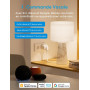Meross Prise Connectée Matter (Type E), 16A Prise WiFi Compatible avec Apple HomeKit, Alexa, Google Home et Home Assistant, Mesu