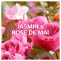 Dash 2en1 PODS Jasmin et Rose de Mai, 50 Lavages, Lessive Capsules 3-en-1, 3 Semaines de Fraîcheur avec Lenor, Notes Florales et