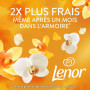 Lenor Parfum De Linge En Perles (735g), Ambre et Orchidée, jusqu’à 12 semaines de fraîcheur continue dans l’armoire