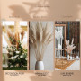 Pampa XXL Séchées Naturelles 100cm, Lot de 4 Fleurs séchées- Pampas sechees Decoration - Decoration Salon - Bouquet Fleurs séché