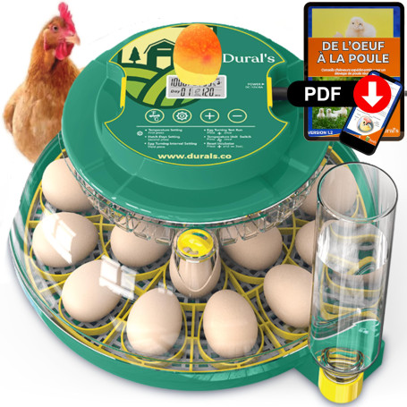 Dural's DX5® | Professionnel & Haute Précison | Couveuse œuf automatique | Certifiée CE | Température Précise & Contrôle de l’Hu
